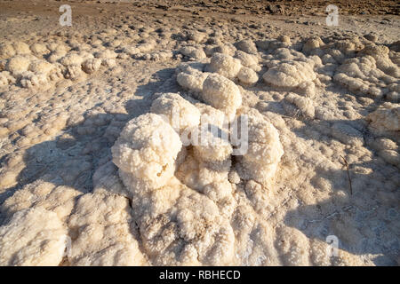 Les roches de sel cristallisé le long des rives de la Mer Morte, en Israël. Banque D'Images