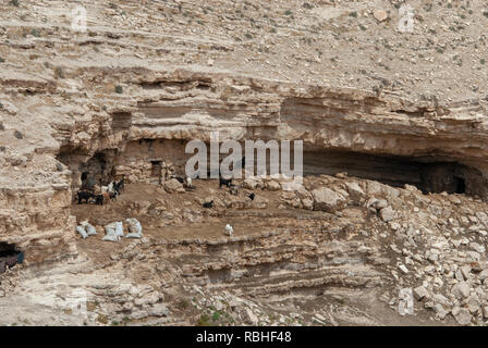 Bédouins vivant dans des grottes naturelles, près de Petra, Jordanie Banque D'Images