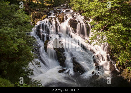 Swallow Falls, sur l'Afon Llugwy près de Betws-Y-Coed, le parc national de Snowdonia, Pays de Galles, Royaume-Uni Banque D'Images