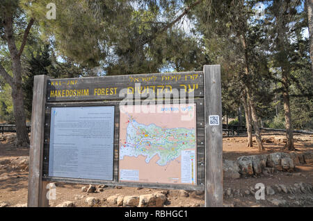 Israël, Montagnes de Judée, Hakedoshim (forêt des Martyrs) à la périphérie de Jérusalem il surplombe l'autoroute à Jérusalem Banque D'Images