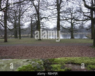 Photo de Dunham Massey Park Banque D'Images