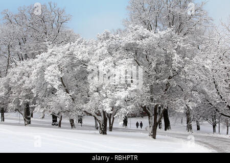 Paysage d'un parc avec des arbres couverts de neige et ciel bleu et deux personnes marchant au loin. Helsinki, Finlande. Le 9 janvier 2019. Banque D'Images