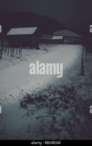 La glace et la neige glacée dans les vignobles par nuit Banque D'Images