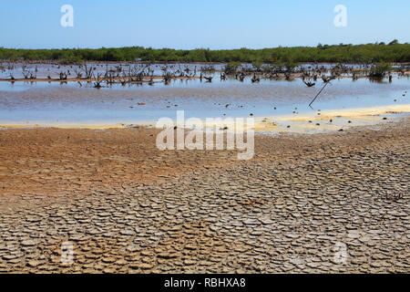 Cuba - la péninsule d'Ancon. La terre sèche et la zone humide de la mangrove. Banque D'Images