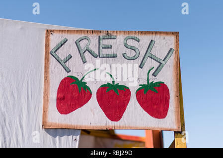 Fraises fraîches. La Californie. Banque D'Images