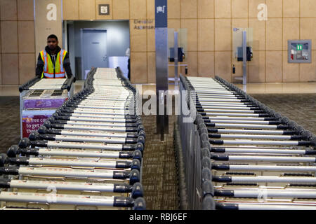 Un employé de l'aéroport parking chariots à bagages à l'aéroport de Toronto Peasron Banque D'Images