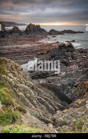 Les spectaculaires falaises de Hartland Quay, célèbre pour les contrebandiers, les épaves et les couches de roches déformées, se trouvent le long d'une partie de la côte sud-ouest Banque D'Images