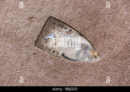 Le plancher d'un appartement étudiant - fer à repasser marque de brûlure sur le tapis Banque D'Images