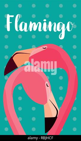 Beau couple oiseaux flamants chefs vector illustration design Illustration de Vecteur