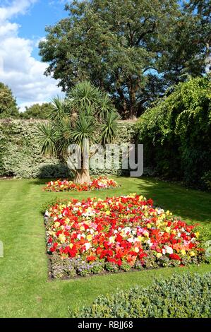 Parterre planté formelle avec des plantes à massifs d'été annuel dans un jardin clos Sunbury Surrey England UK Banque D'Images