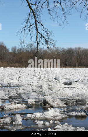 Hiver embâcle de la rivière Kankakee, dans l'Illinois, USA droit avant qu'il a commencé à se déplacer à partir de la fonte du printemps. Banque D'Images