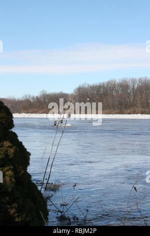 Hiver embâcle de la rivière Kankakee, dans l'Illinois, USA droit avant qu'il a commencé à se déplacer à partir de la fonte du printemps. Banque D'Images