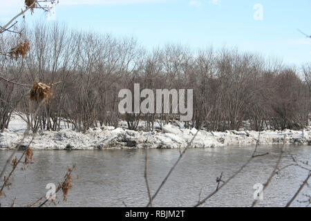 Hiver embâcle de la rivière Kankakee, dans l'Illinois, USA droit avant qu'il a commencé à se déplacer à partir de la fonte du printemps. Banque D'Images