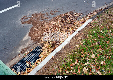 Tas de feuilles sur le colmatage de la rue vidanger Banque D'Images