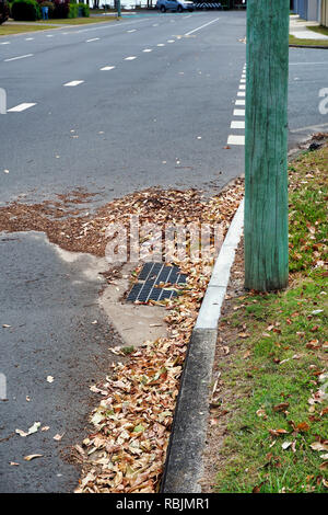 Tas de feuilles sur le colmatage de la rue vidanger Banque D'Images