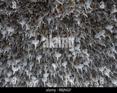 Feuilles de Bodhi d'argent suspendu à un plafond blanc, temple à Chiang Rai, Thaïlande Banque D'Images