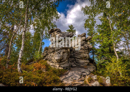 Scenic rock formation à l'automne forêt de bouleaux près de stone Bledne Skaly labyrinthe de Szczeliniec Wielki Banque D'Images