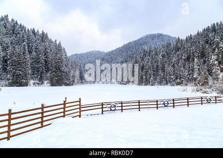 Lacu Rosu en Harghita, Roumanie, sous la neige sur journée d'hiver. Journée d'hiver sur le lac rouge, Roumanie Banque D'Images