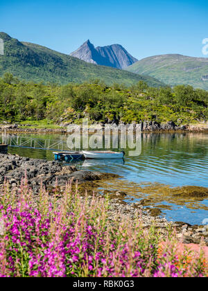 Stønnesbotn Fjordbotn fjord, vue du camping de montagne, petit bateau de pêche, Senja, Troms, Norvège Banque D'Images