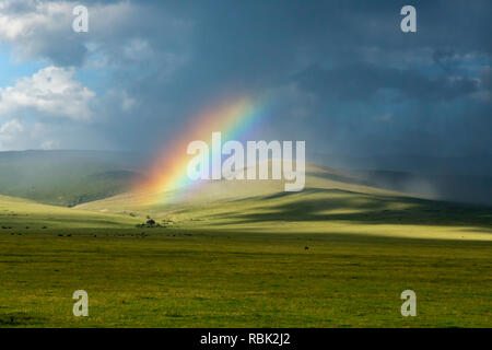 Arc-en-ciel sur la savane dans le cratère du Ngorongoro, en Tanzanie Banque D'Images