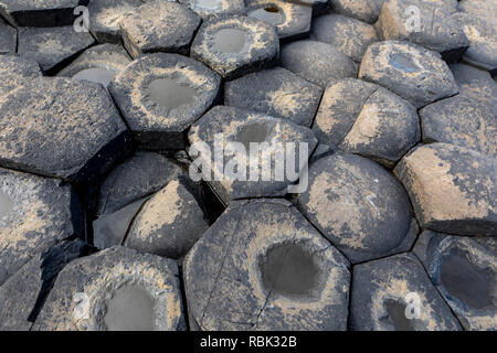 Giant's Causeway, le résultat d'une ancienne éruption folcano et répertorié comme un site du patrimoine mondial, en Irlande du Nord. Banque D'Images