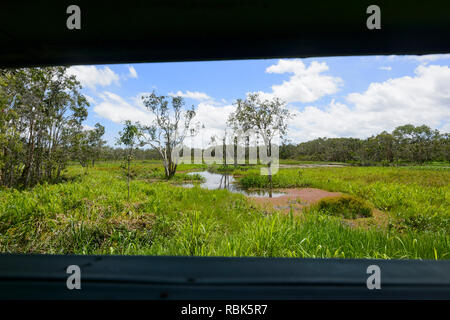 Vue sur le marais de l'oiseau en abattoir cacher, Atherton, Far North Queensland, Queensland, Australie, FNQ Banque D'Images