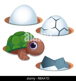 Jolie petite tortue aux yeux bleus de la coquille des œufs fêlés et isolé sur fond blanc. Cartoon Vector illustration close-up. Illustration de Vecteur
