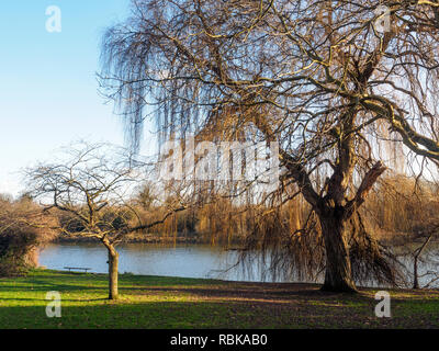 Vue sur les jardins de Thamess Radnor à Twickenham - Londres, Angleterre Banque D'Images