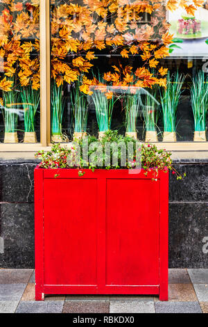 Restaurant japonais décorations sur rue avec un grand pot de fleurs rouge en bois et de mettre en valeur avec des plantes et des feuilles d'érable Banque D'Images