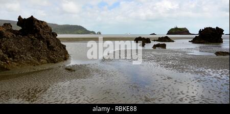 De grands blocs de calcaire sur une plage de sable fin, de la randonnée à travers le parc national de Cape Hillsborough, Queensland, Australie Banque D'Images