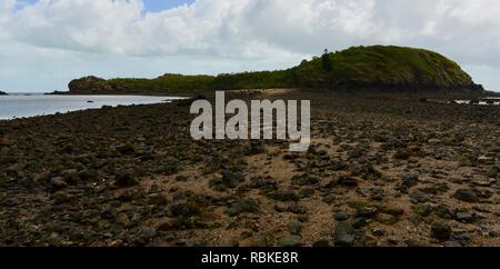 La chaussée reliant l'île rocheuse de coin de la partie continentale, la randonnée à travers le parc national de Cape Hillsborough, Queensland, Australie Banque D'Images