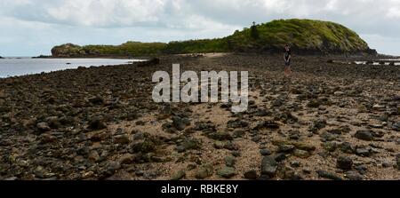 La chaussée reliant l'île rocheuse de coin de la partie continentale, la randonnée à travers le parc national de Cape Hillsborough, Queensland, Australie Banque D'Images