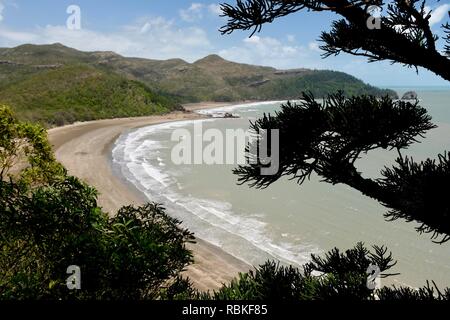 La randonnée à travers le parc national de Cape Hillsborough, Queensland, Australie Banque D'Images