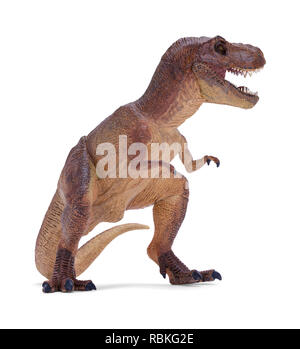 Dinosaure T Rex rugissant isolé sur fond blanc. Banque D'Images