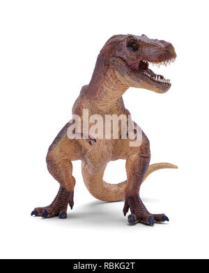 Dinosaure Tyrannosaurus Rex avec des dents pointues isolé sur fond blanc. Banque D'Images