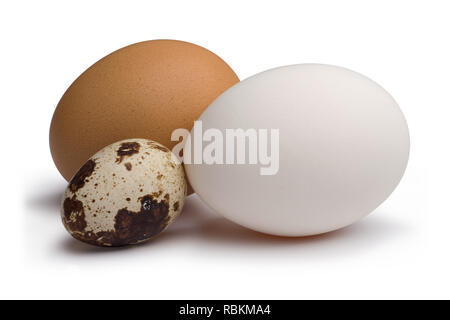 Oeufs jaune et blanc, oeuf de caille, isolé sur fond blanc Banque D'Images