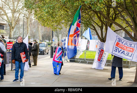 Londres, Royaume-Uni. Jan 11, 2019. Un Brexit guide sa campagne par le biais de drapeaux quelques arbres devant les Maisons du Parlement à Londres aujourd'hui que le débat continue sur le premier ministre Theresa May's qui est l'objet d'un vote la semaine prochaine . Crédit : Simon Dack/Alamy Live News Banque D'Images