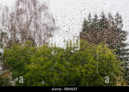 Gouttes de pluie sur la fenêtre, les arbres sur l'arrière-plan flou Banque D'Images