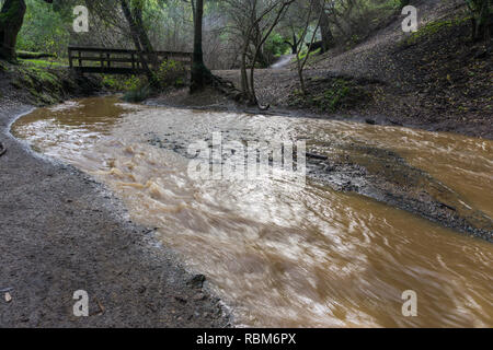 Muddy Creek après la tempête et les fortes pluies, Rancho San Antonio County Park, South San Francisco, Californie Banque D'Images