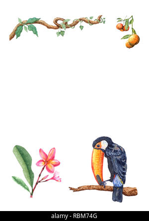 Toucan dessinés à la main, assis sur une branche d'arbre, mandarin fruits, fleurs et bourgeons plumeria, lianes. Illustration à l'aquarelle sur fond blanc pour greeti Banque D'Images