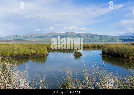 Vue vers le pic de la Mission ; eau ; Don Edwards Wildlife Refuge, South San Francisco bay, Alviso, San Jose, Californie Banque D'Images