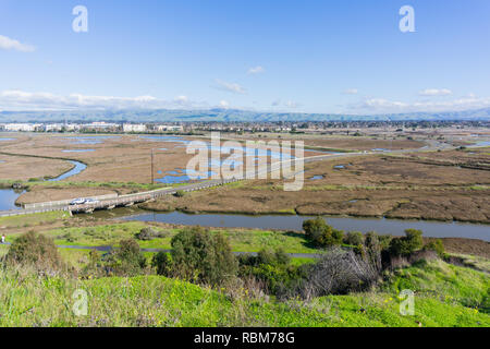 Les zones humides de Don Edwards Wildlife Refuge, Fremont, baie de San Francisco, Californie Banque D'Images