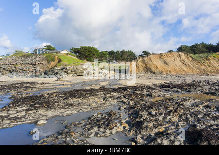 S'écoule dans le ruisseau à l'océan Pacifique à marée basse, Moss Beach, Californie, Réserve Marine Fitzgerald Banque D'Images