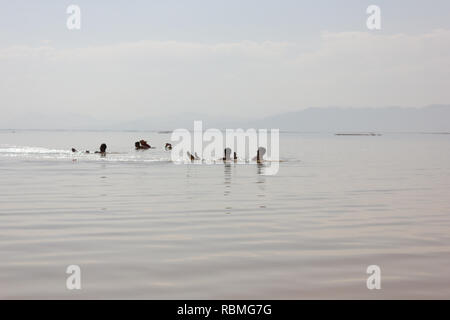 Les gens nagent dans le lac d'Orumieh sel, province de l'Ouest, l'Iran Banque D'Images