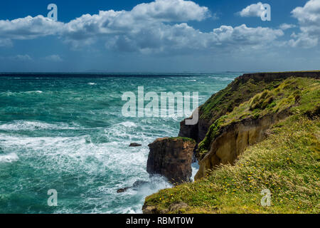 Côte du Pacifique et de grosses vagues avec mousse blanche dans l'Otago, Nouvelle-Zélande Banque D'Images