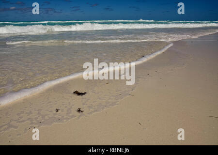 Plage avec sable blanc et eau turquoise à Cuba Banque D'Images