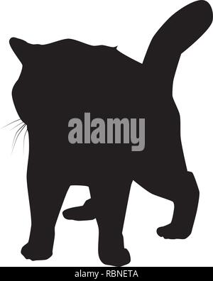 Chat noir sur blanc silhouette vector illustration Illustration de Vecteur