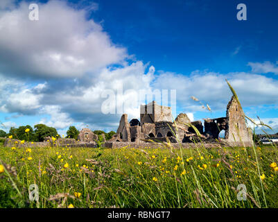 Athassel Abbey, Golden, Cashel, comté de Tipperary, Irlande Banque D'Images