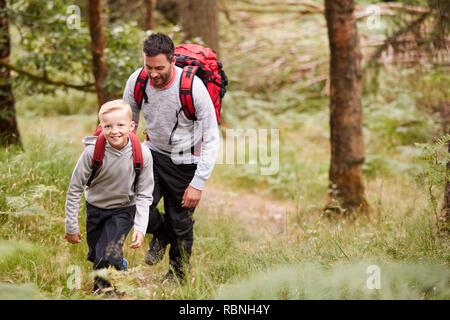 Un garçon et son père à marcher ensemble sur un sentier entre les arbres d'une forêt, elevated view Banque D'Images