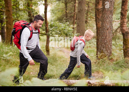 Vue latérale d'un garçon marche sur sentier dans une forêt avec son père, selective focus Banque D'Images